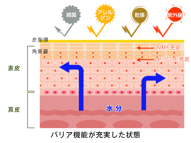 冷えと婦人病の関係