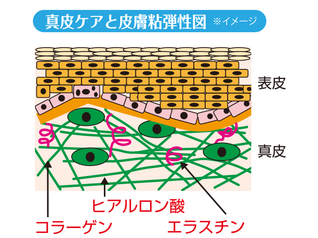 冷えと婦人病の関係